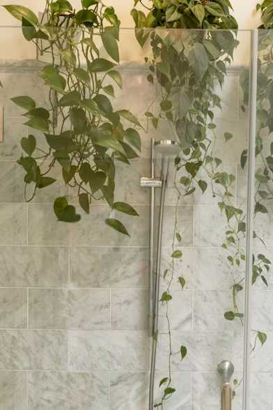 Cleaning Image